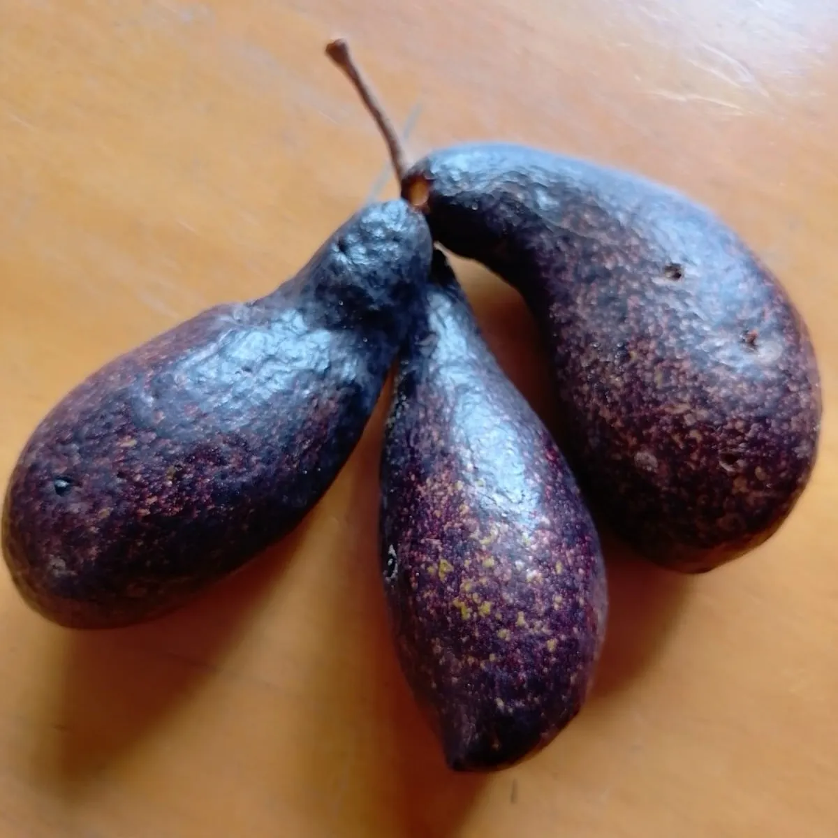 * AGUACATE CHININI O CHININE (0.5 kg)