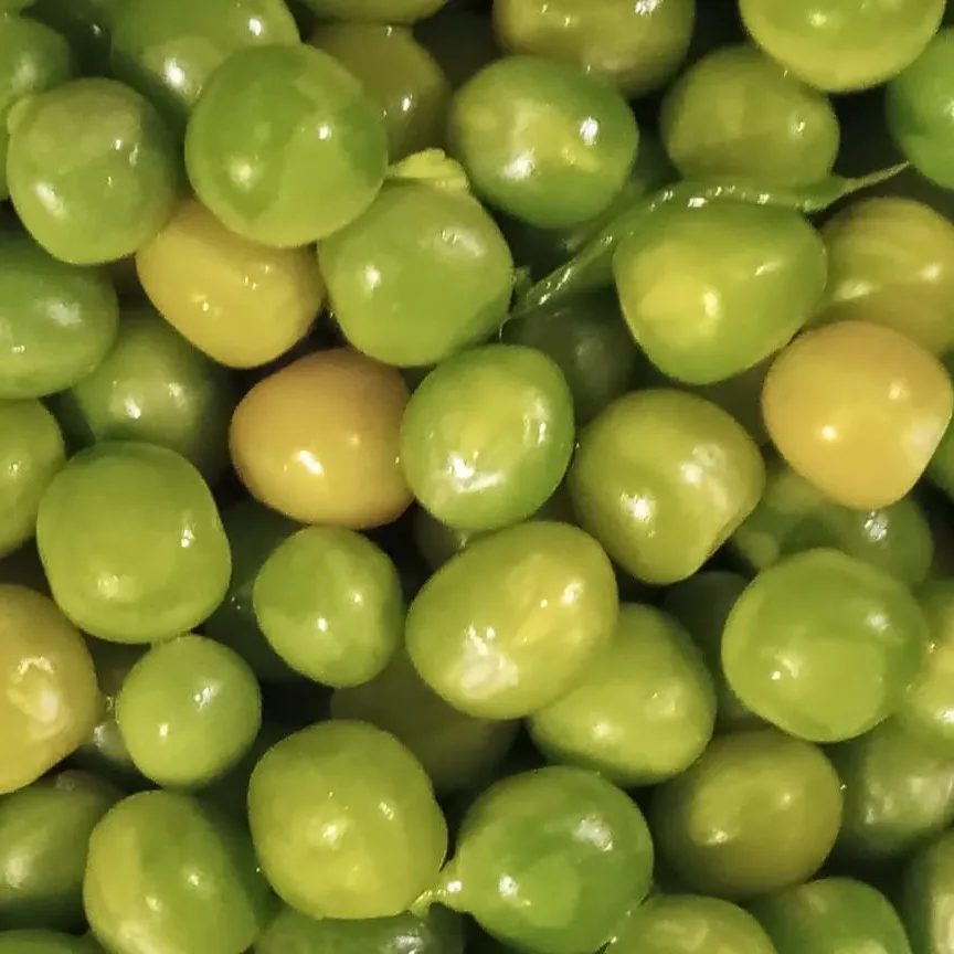 * CHÍCHARO CONGELADO, bolsa de 500 g