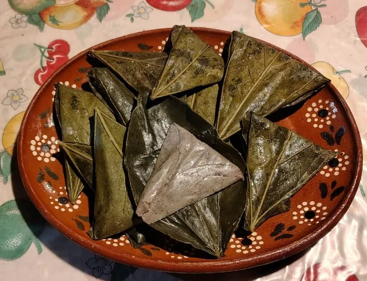 << XOCOS CHICOS, pieza