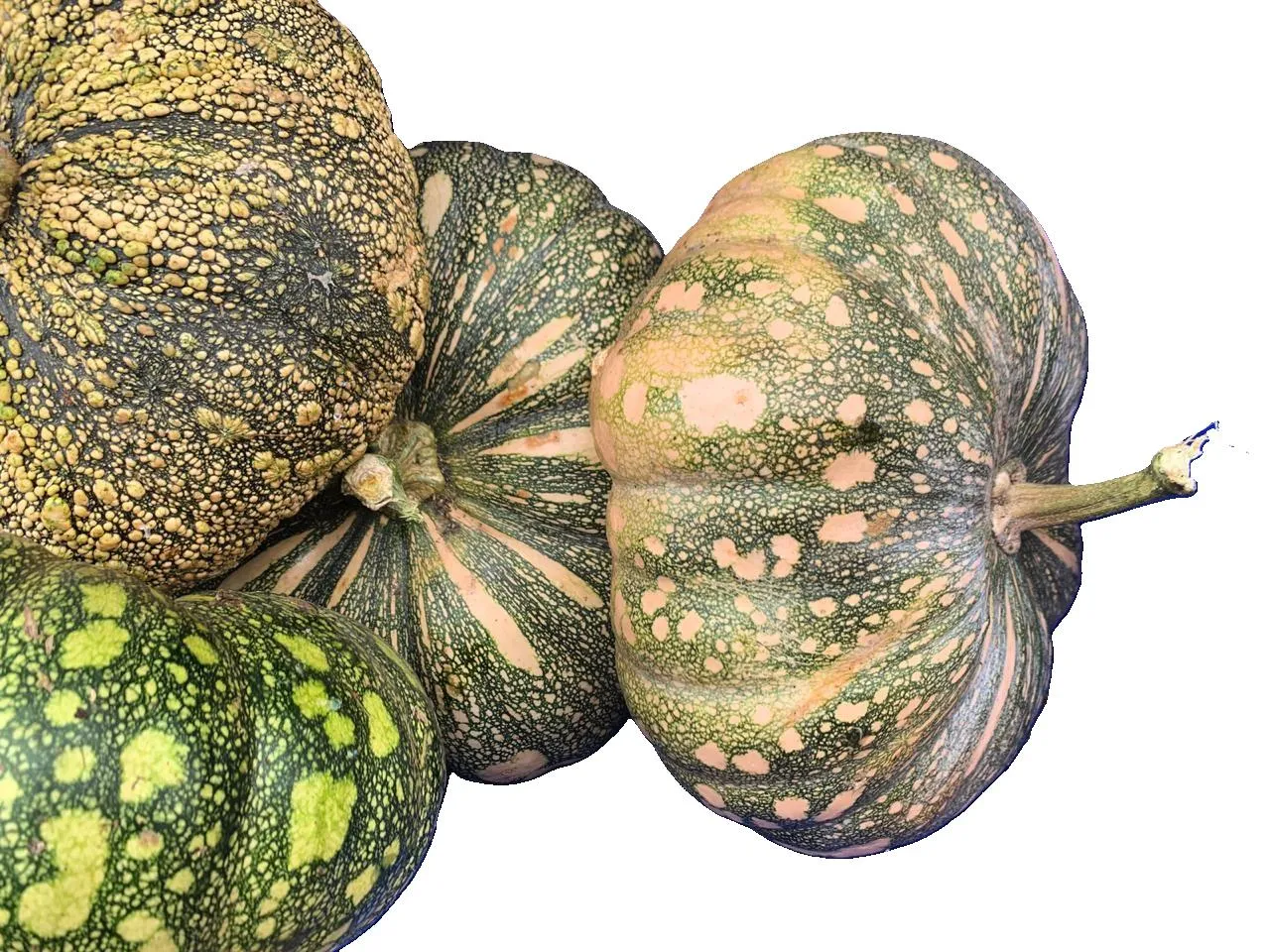 * CALABAZA DE CASTILLA , 1 kg