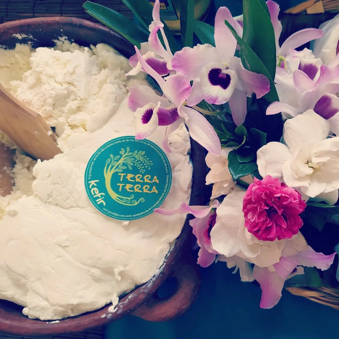 ><><KEFIR  TERRA TERRA DE LECHE DE CABRA, 250 g><><