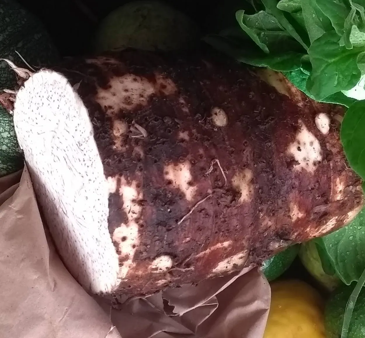 * MALANGA, 500 g